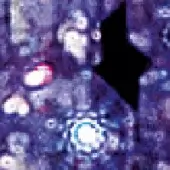 Abstract digital graphic with purple and blue pixelated texture, white and light-blue circular motifs, and a black triangular overlay.