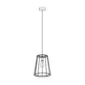 Pendant light, matte black metal, cage shade with exposed bulb, minimalist design, slender rod, circular ceiling mount, white background.