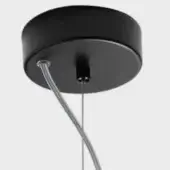Black canopy fixture, matte finish, circular disc with central post and curved silver, gray metal rods extending from perimeter.