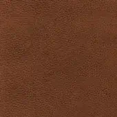 Brown leather texture with a dense, repeating granular pattern and matte finish, evenly lit in a studio setting.