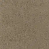 Light taupe textured surface with a repeating, irregular pattern resembling pebbled leather, featuring a uniform matte finish and even lighting.