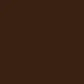 Warm brown color field, matte texture, consistent tone, deep saturation, evoking dark wood and earth tones, uniform composition.
