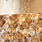 Copper coins stacked haphazardly fill frame bottom, transitioning to pale beige mottled texture above, with diffused, even lighting.
