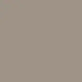Warm gray color swatch, matte finish, uniform surface, neutral tone, diffused lighting, studio backdrop, flat composition, subtle brown undertones.