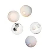 Six spheres—three matte white, three translucent with dark gray and black inclusions—arranged on a white background, diffused lighting.