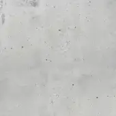 Light grey concrete texture with dark speckles, exhibiting a porous and uneven surface with subtle tonal variations under diffuse lighting.