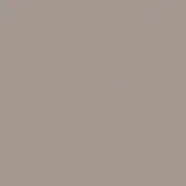 Dove grey solid color background, matte finish, even lighting, neutral tone, consistent saturation, and lacking texture or visual patterns.