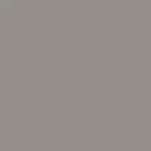 Light grey solid color background, matte finish, uniform tone, diffuse lighting, neutral composition, consistent saturation, and no visible texture.
