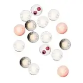 Spherical glass light fixtures in clear, gray, and blush pink arranged organically, featuring circular cutouts and warm internal lighting.