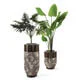Accessories & Décor