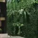 Green Walls