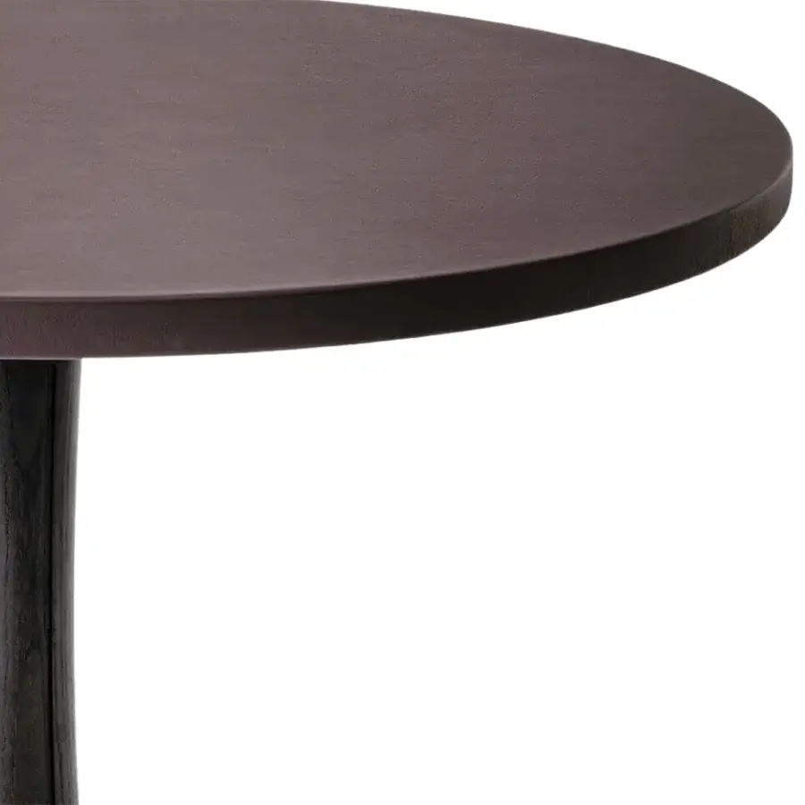 Elegant Giorgetti Spark coffee table with a dark brown natural wood structure and polished finish