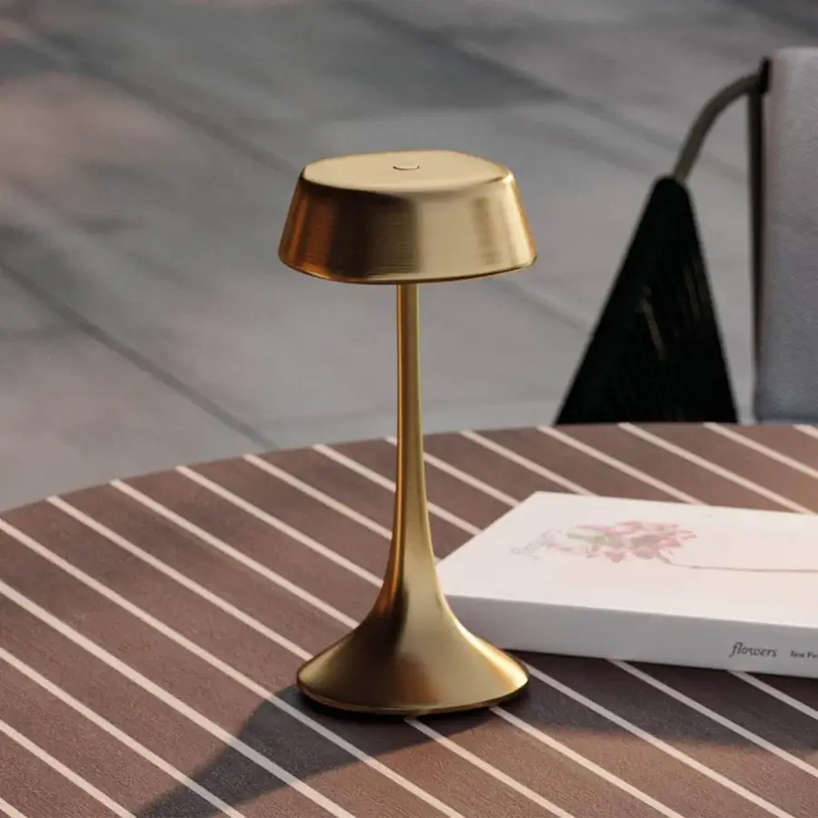 Distinguished Rugiano Wanda table lamp crafted in Italy with a curved silhouette and uniform golden tone in brushed brass