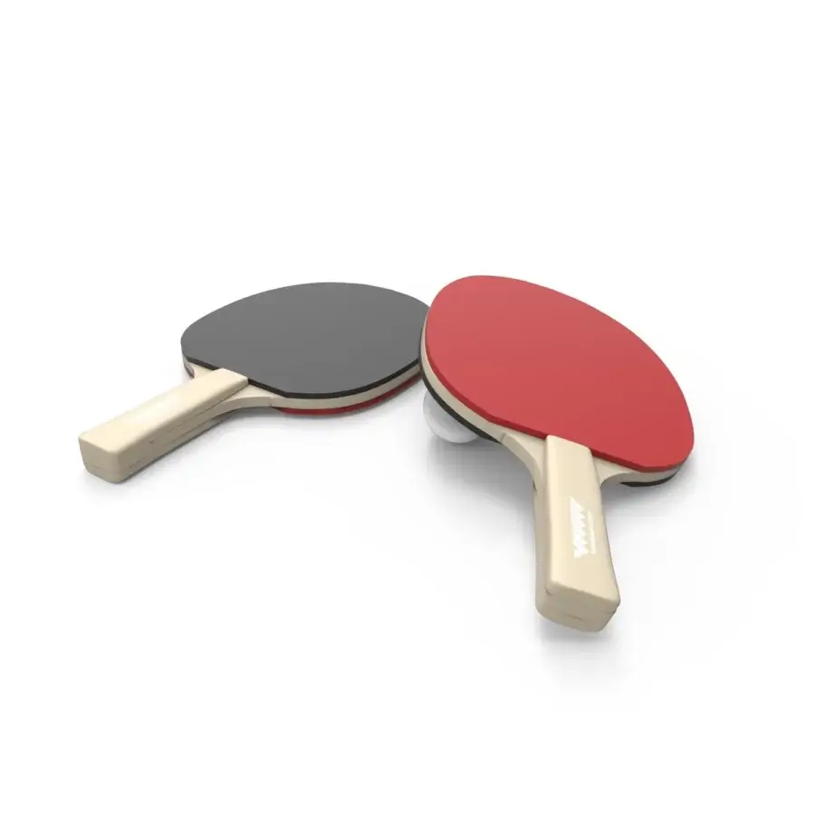 Elegant Vismara Arena table tennis table with extra matt lacquered layout and paddles featuring light beige glossy synthetic handles