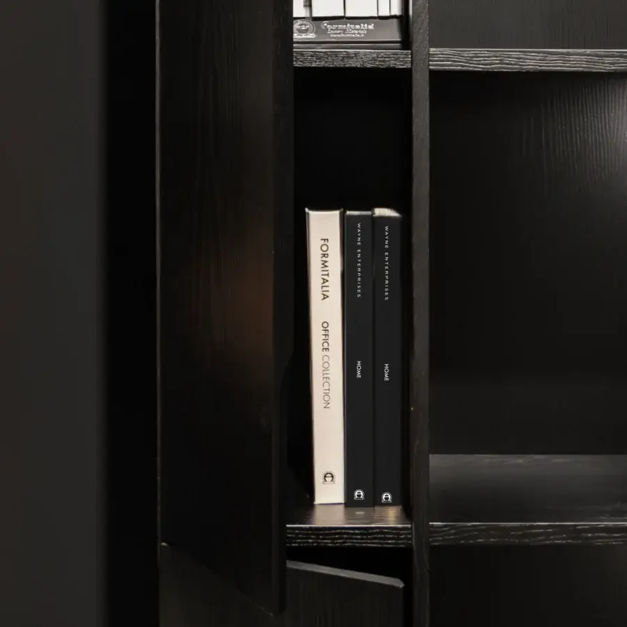 Elegant WAYNE Enterprises WE-171 bookcase with dark wood veneer, matte finish and integrated LED lighting