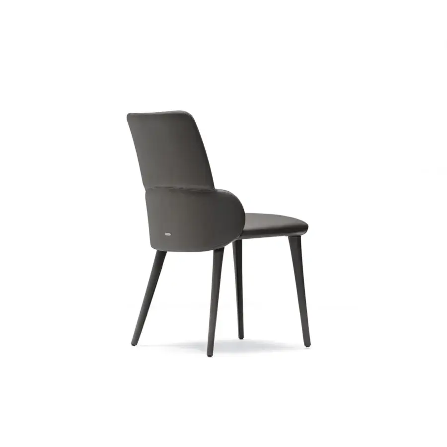 Distinguished Cattelan Italia Ginger chair crafted in dark gray leather with a matte finish and subtly curved backrest