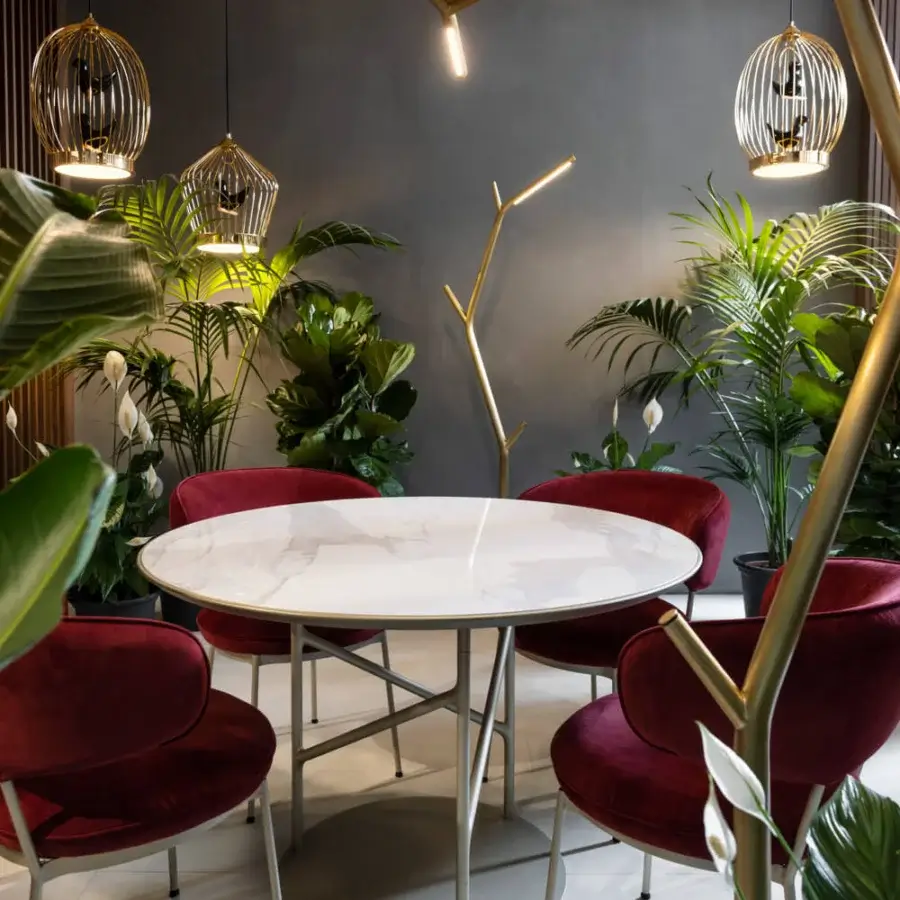 Distinguished Horm Aira suspension lamp with organic branch-like extensions crafted in glossy gold brass creating warm illumination