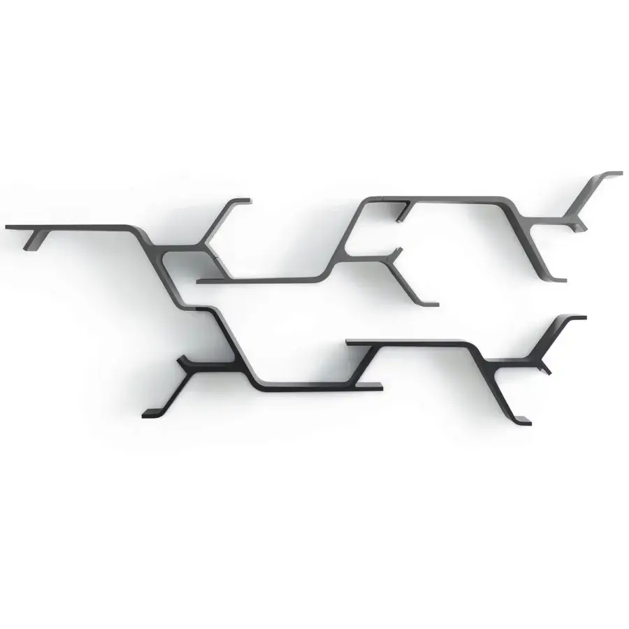 Captivating Horm Sinapsi shelf, a modular design inspired by neural networks crafted in lacquered-polyurethane with a matte dark gray finish