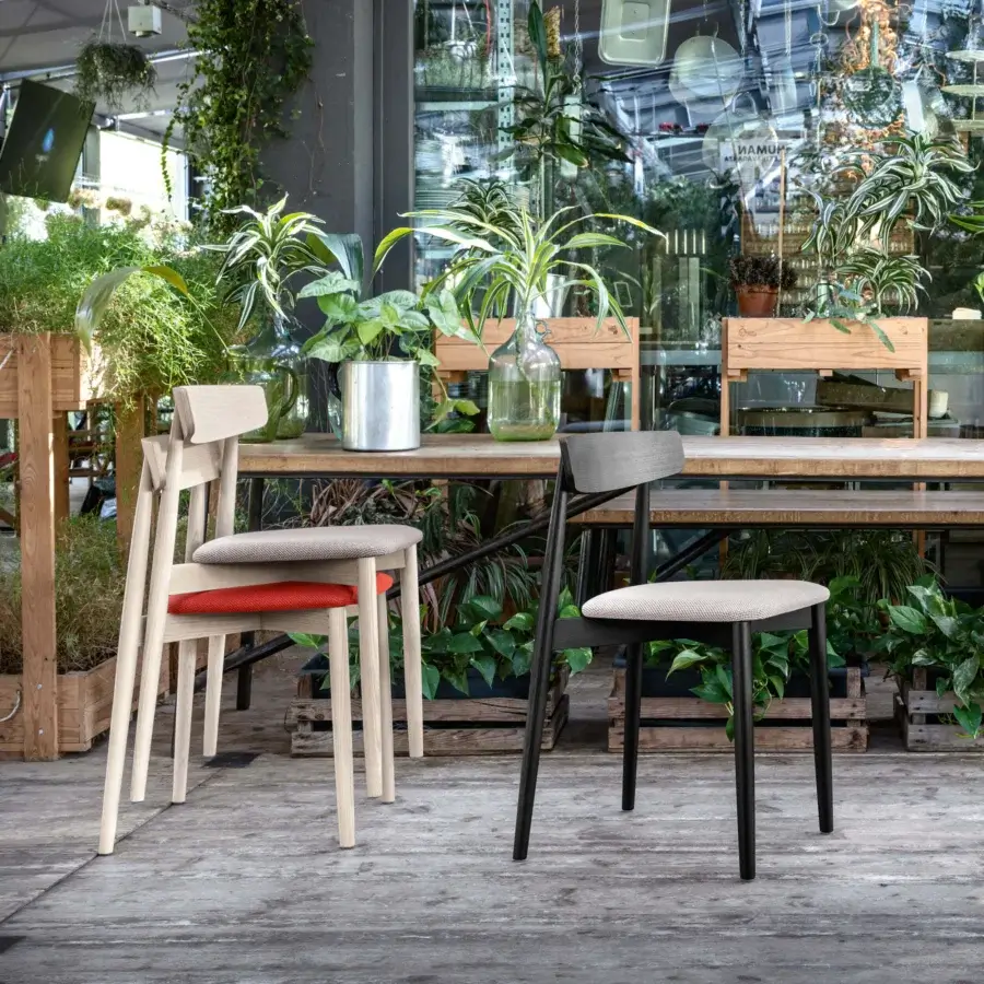Impeccable Miniforms Claretta chair crafted in wood with smooth black finish and light textile seat