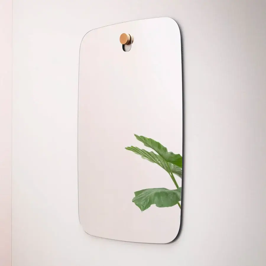 Exceptional Miniforms Bigger Brothers mirror with rounded corners and a dark frame crafted in Italy with a light-toned wooden detail