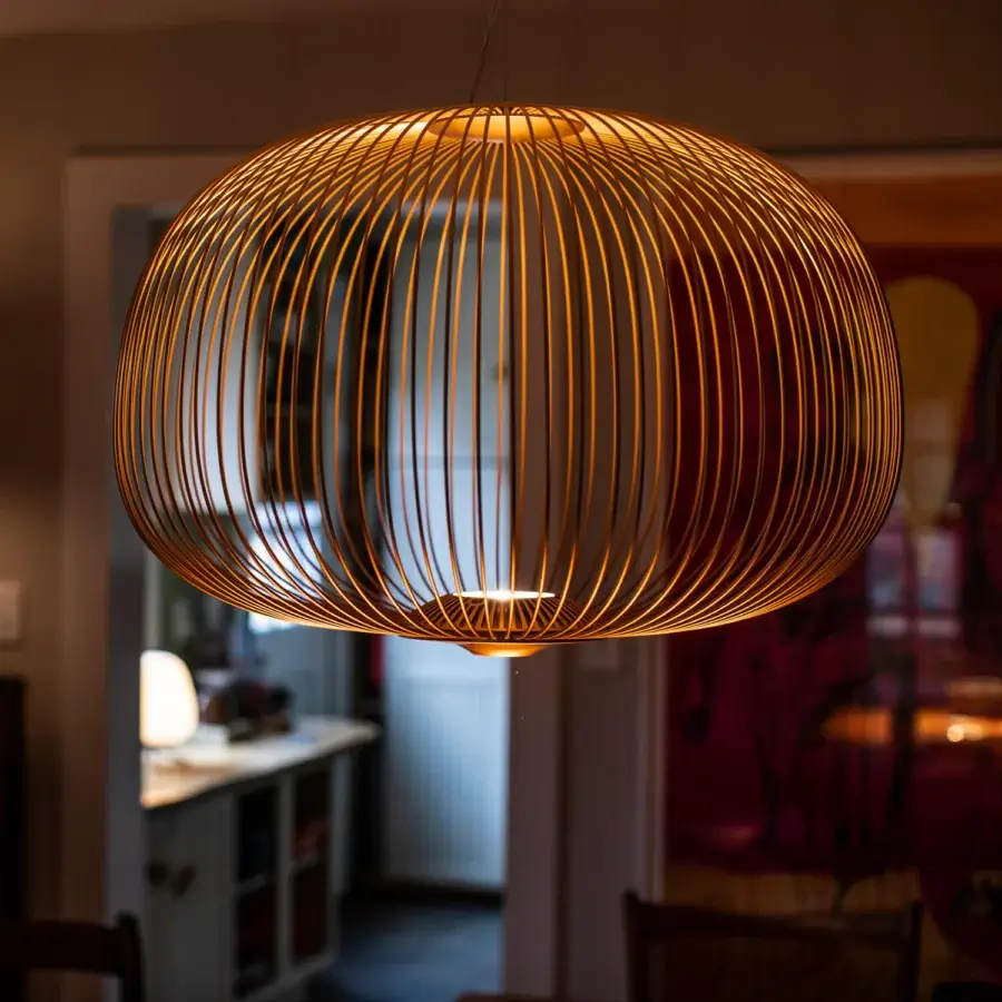 Spokes Suspension Lamp #2