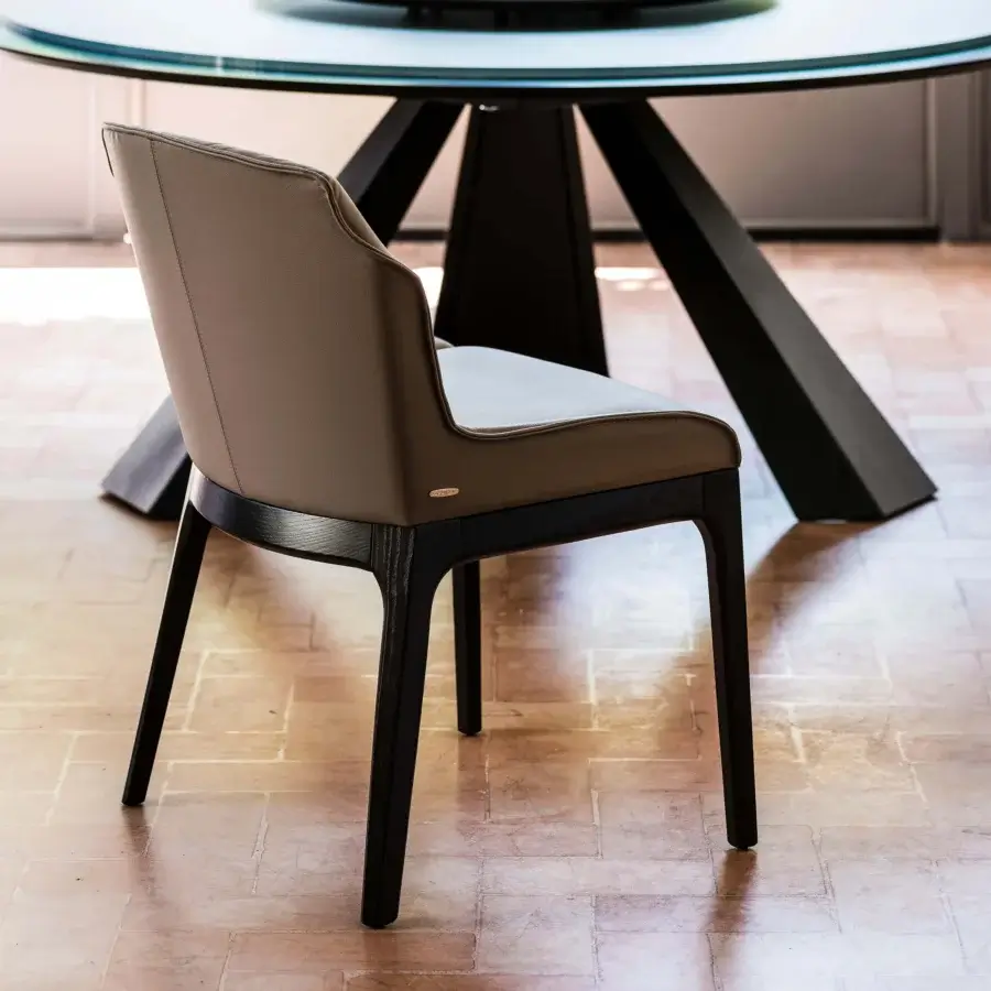 Superior Cattelan Italia Musa chair in taupe leather with a matte finish and dark-stained solid wood frame