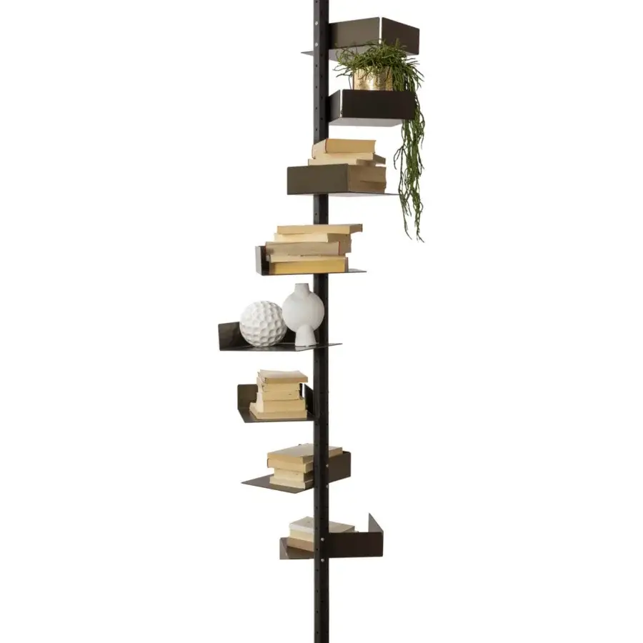 Captivating Pacini & Cappellini bookcase with titanium metal structure and ash or Canaletto walnut veneered shelves with clear finish