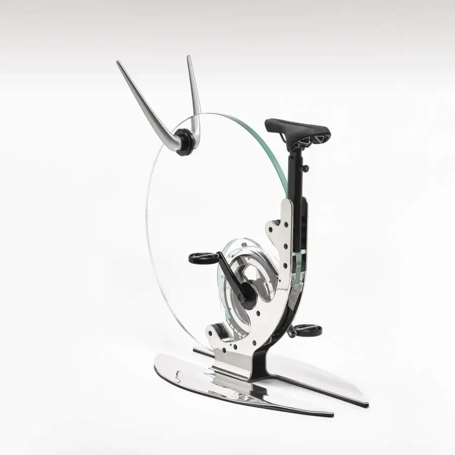 Ciclotte Glossy Exercise Bike #42