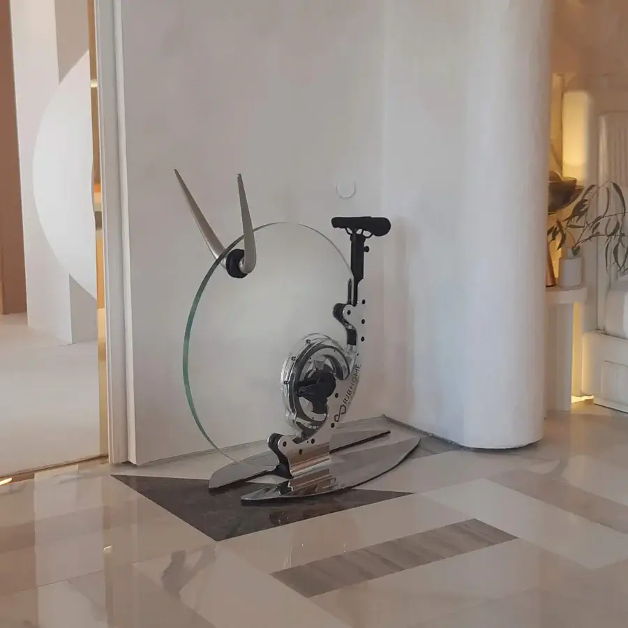 Ciclotte Glossy Exercise Bike #24