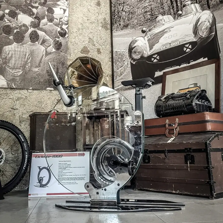 Ciclotte Glossy Exercise Bike #29