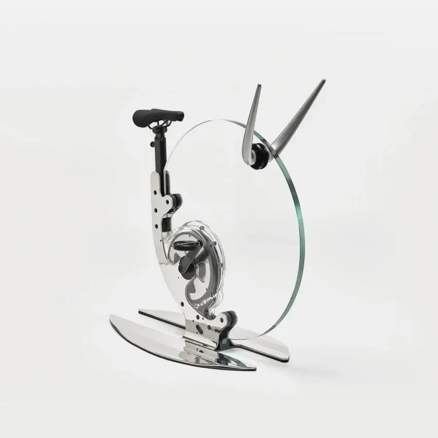 Ciclotte Glossy Exercise Bike #39