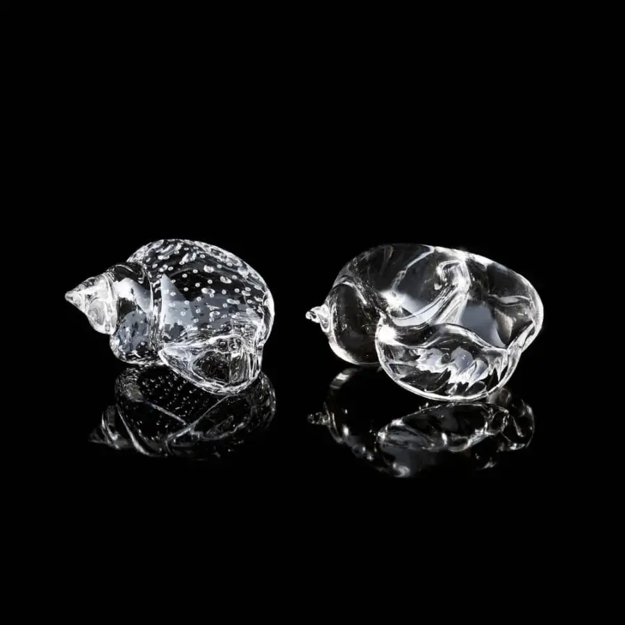 Glass nautilus shell sculptures by Duccio Di Segna on black, showing textured and smooth spiral forms with reflective base details.