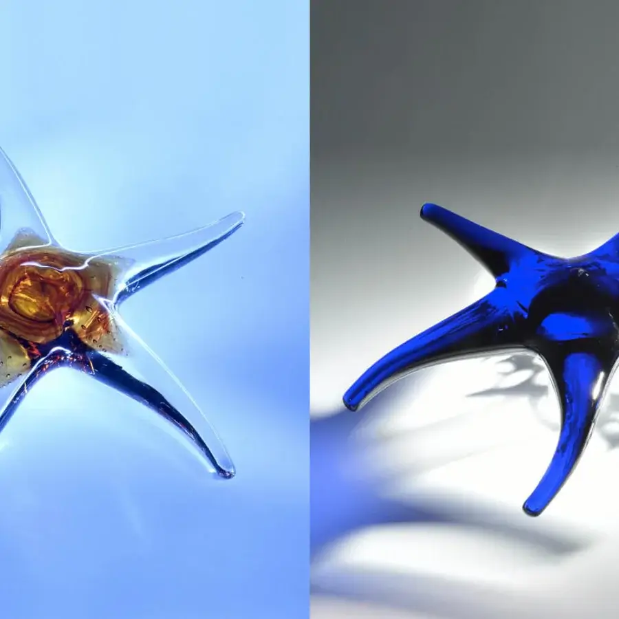 Superior Duccio di Segna Sea Star sculpture crafted in radiant Colle Val d'Elsa crystal with a textured amber center and glossy finish