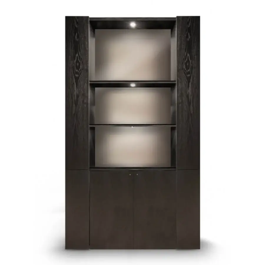 Distinguished WAYNE Enterprises WE-171 bookcase in dark brown wood veneer with satin finish and integrated LED lighting