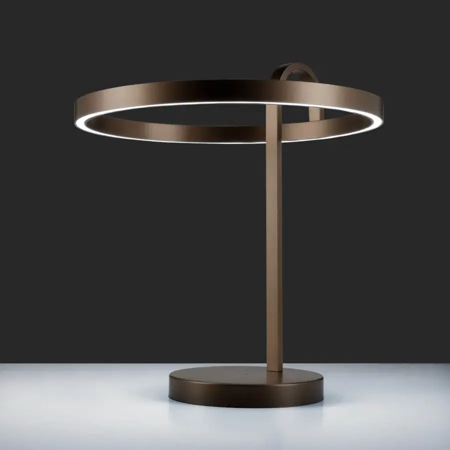 Distinguished Euroluce Nido table lamp crafted in metal with a satin dark bronze finish and dynamic white LED strip