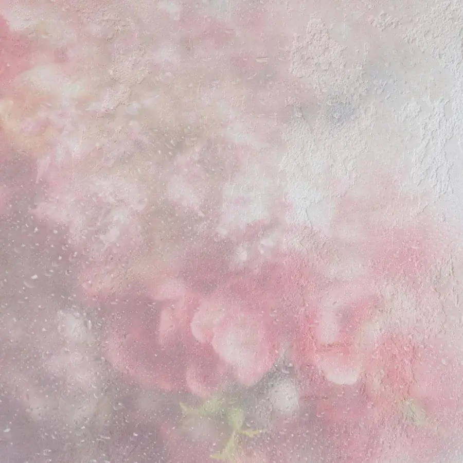 Exceptional Adriani e Rossi Hydrangea wallpaper with pale pink and white floral design in subtly textured matte finish