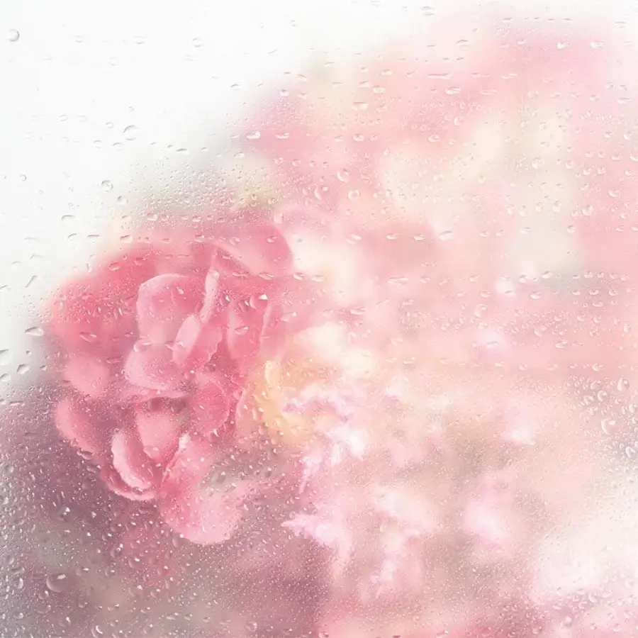 Elegant Adriani e Rossi Greta wallpaper in blurred pink and peach with textured glass-like surface and fiberglass finish