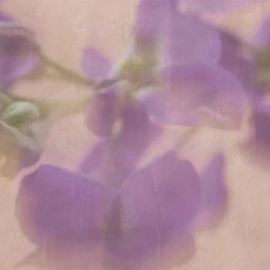 Elegant Adriani e Rossi Violet wallpaper with soft abstract floral motifs in muted violet tones and customizable fiberglass finish