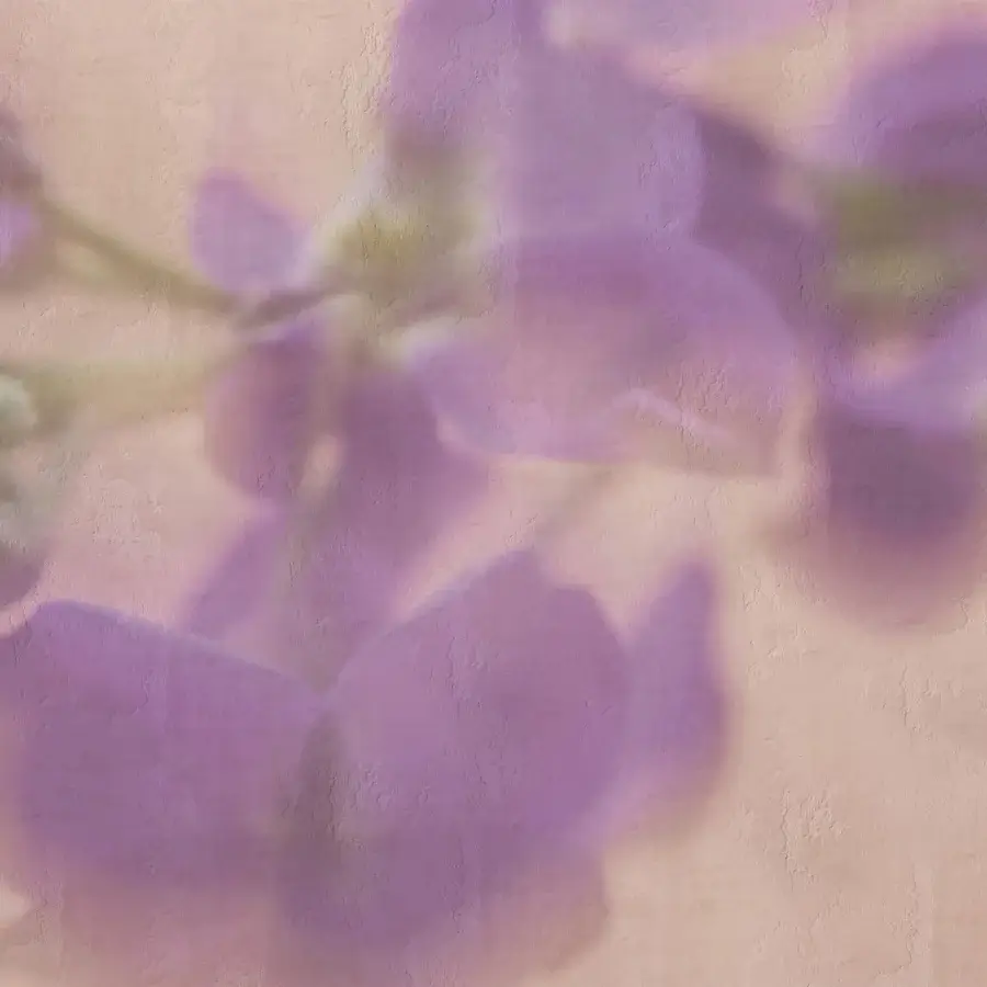 Distinguished Adriani e Rossi Violet wallpaper with soft floral design and subtle blurred texture in muted violet hues with fiberglass finish