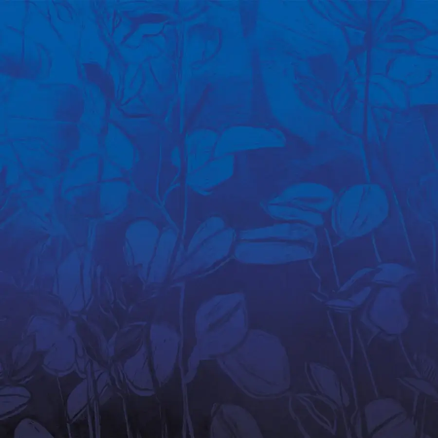 Elegant Adriani e Rossi Flowers wallpaper with blue floral motifs crafted on a fiberglass base and matte finish