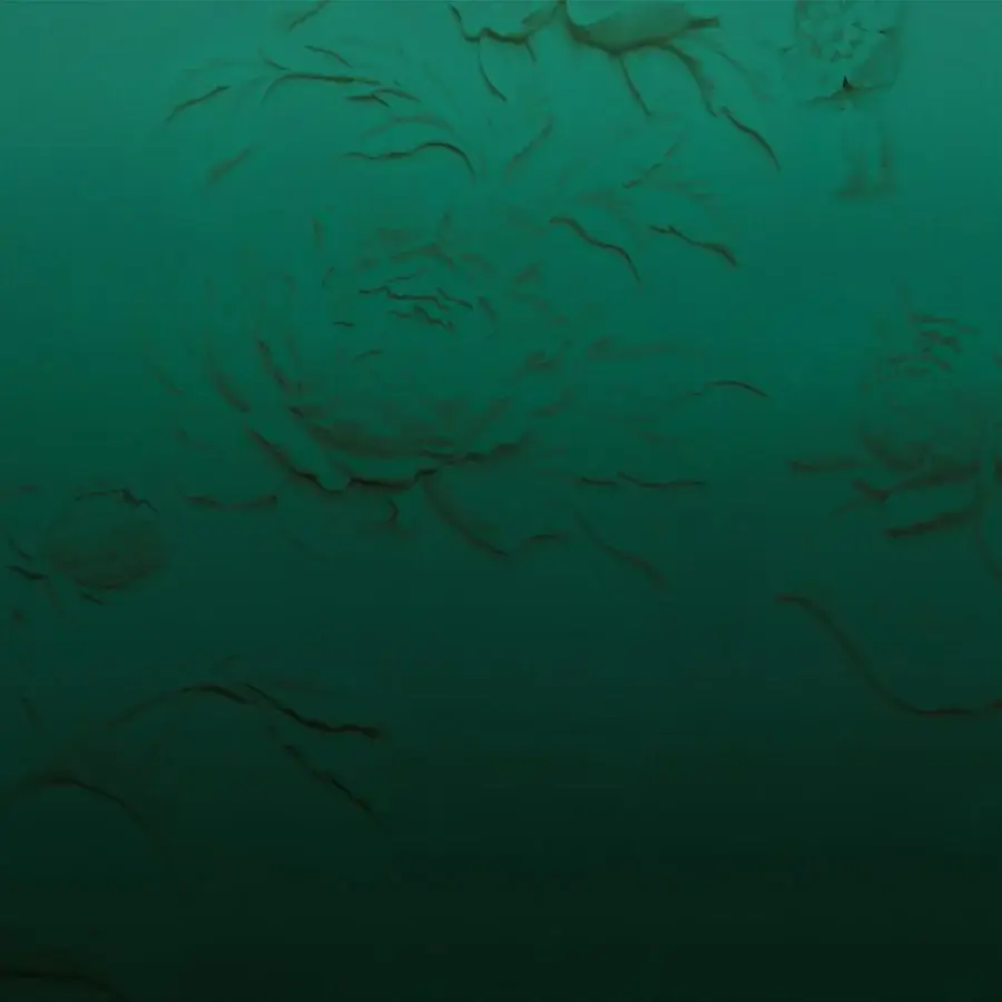 Distinguished Adriani e Rossi Full Grain Herm wallpaper in dark teal with a fiberglass base and gradient floral pattern
