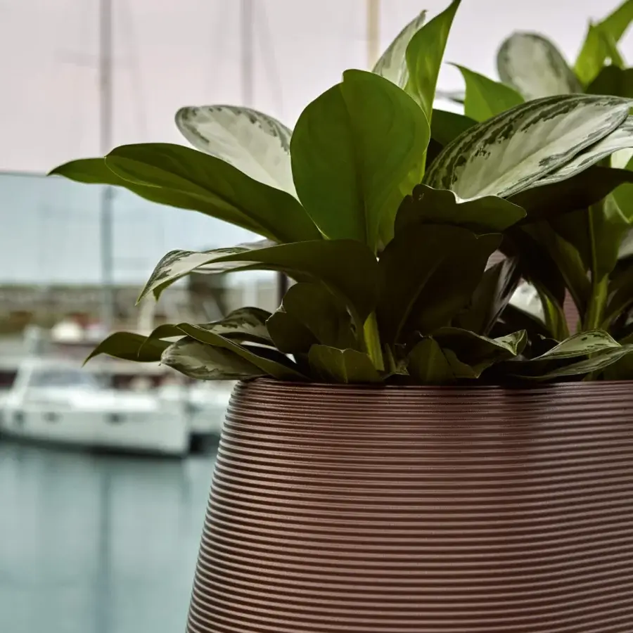 Distinguished MY YOUR Pandora planter crafted in reddish-brown Poleasy® with a subtly textured, linear relief surface