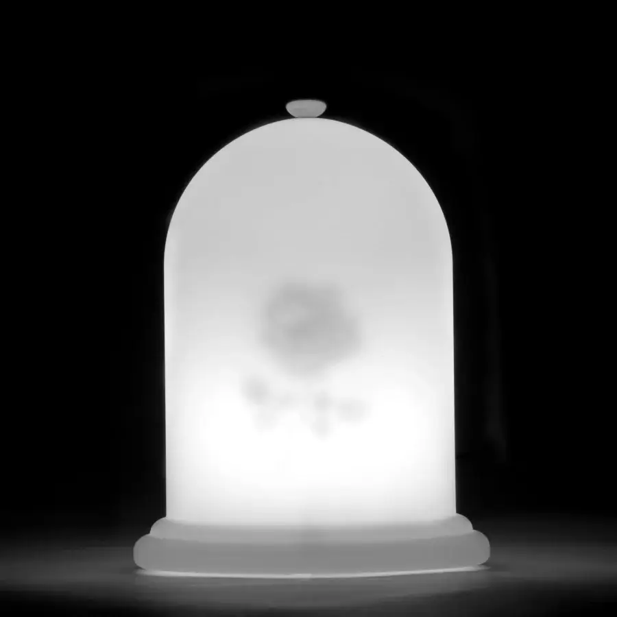 Distinguished MY YOUR Light Tales lamp crafted in Italy with blurred floral pattern within frosted synthetic material