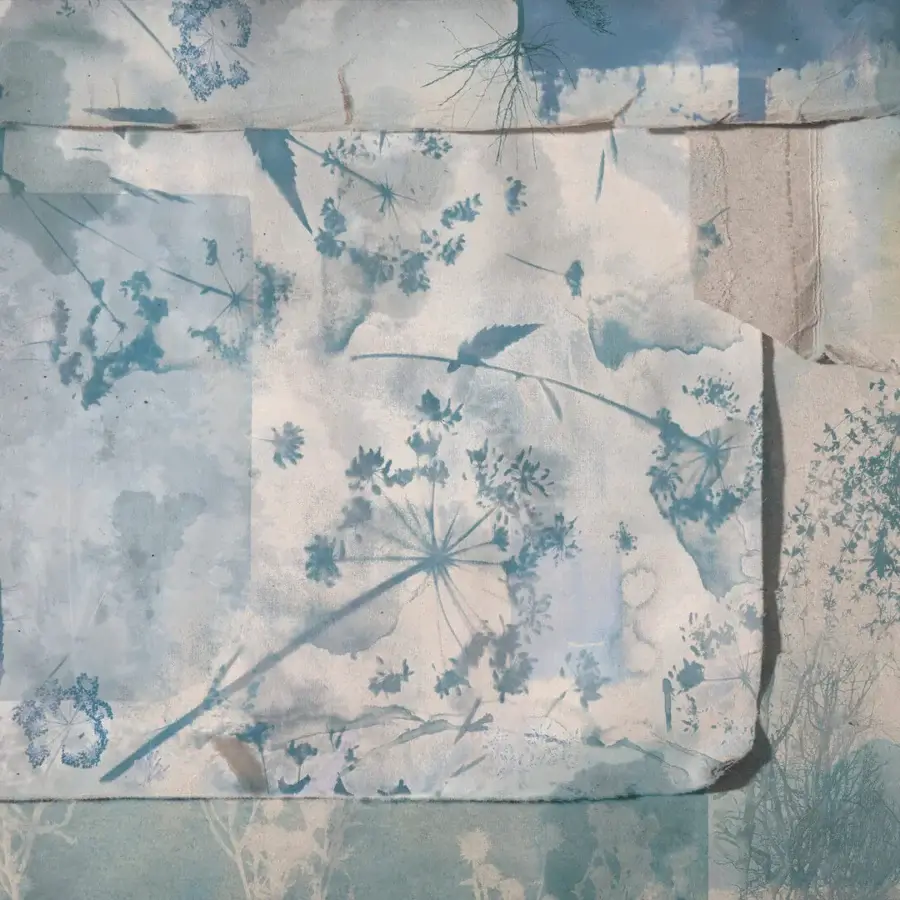 Superior Wall&Decò Hortorium wallpaper with translucent botanical illustrations in muted blue and gray tones with d.TW finish