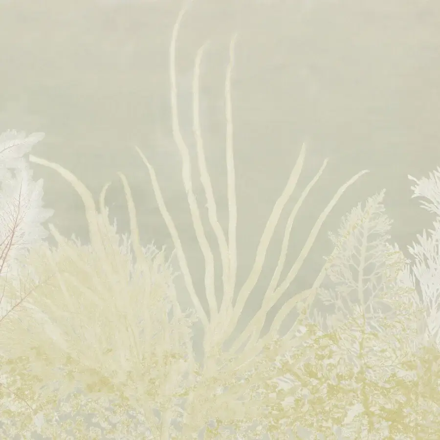 Elegant Wall&Decò Algife wallpaper with seaweed and coral silhouettes printed on water-based resins in cream, beige, and pale green hues