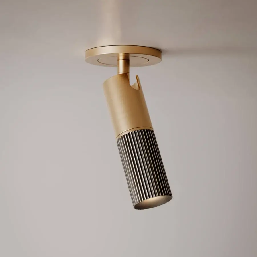 Beak Ceiling / Wall Lamp #3