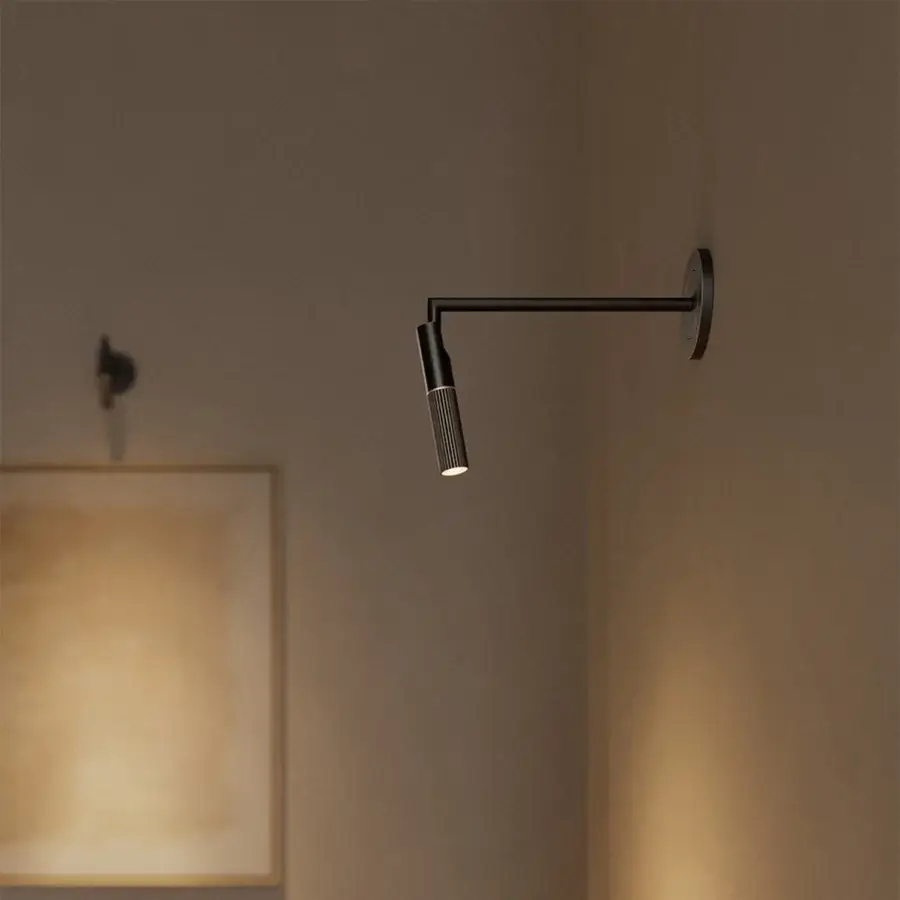 Superior VENICEM Beak Picture Lamp wall fixture built in burnished brass with a matte dark finish