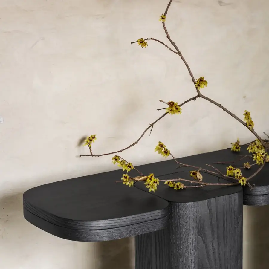Erice C Console #3