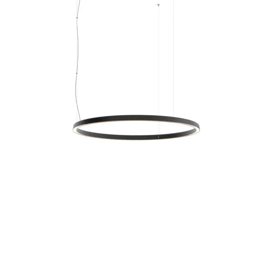 Compendium Circle Suspension Lamp #3