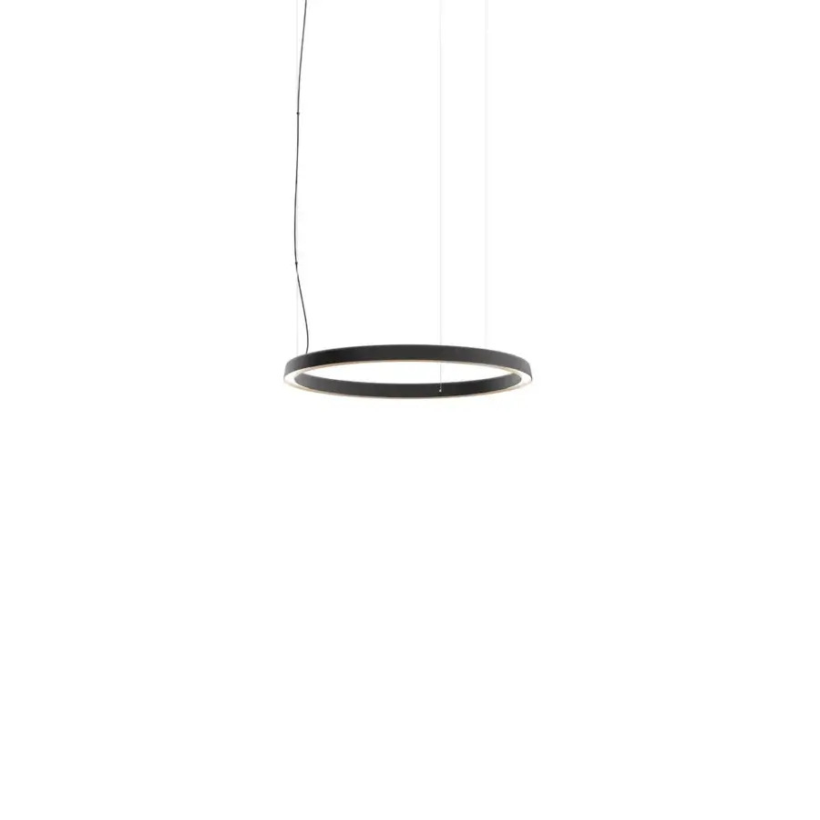 Compendium Circle Suspension Lamp #1